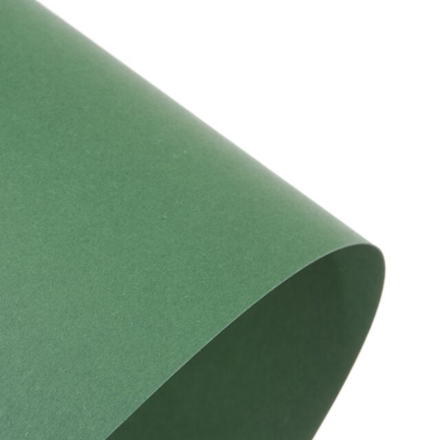 12x12 EverGreen Coloured 120GSM Paper Recycled  12 Sheets