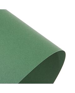 A4 EverGreen Coloured Craft and Printer Card 270GSM 10 Sheets