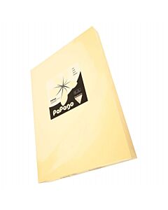 A4 Paper Chamois 80GSM Coloured 50 Sheets