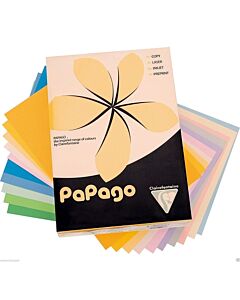 A4 Coloured Paper 80GSM Personalised  50 Sheets